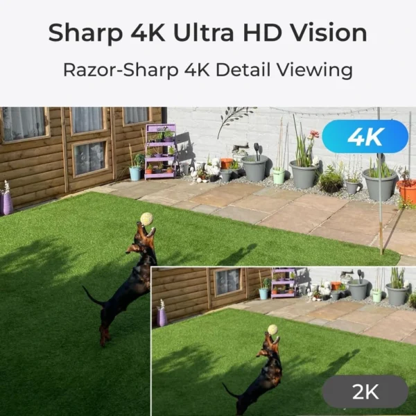 REOLINK P430 Caméra Extérieur Intelligente 4K – Image 4